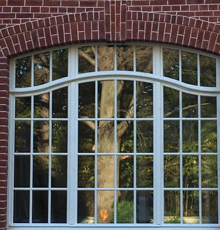 Fenêtres Bruille-Saint-Amand